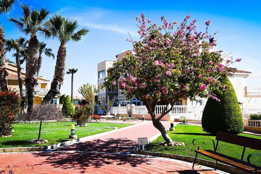 Apartament Z Duzym Tarasem Na Pieknym Osiedlu Orihuela Buitenkant foto